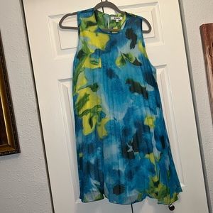 BB Dakota dress. Large